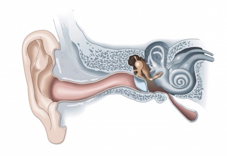 Conductive Hearing Loss