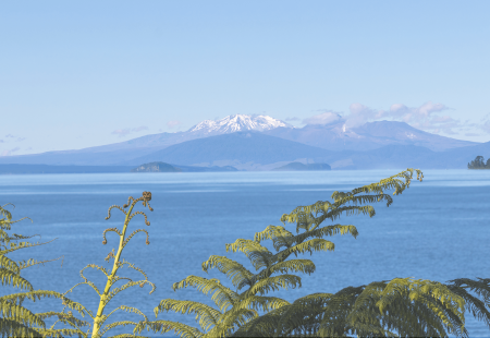 Taupo