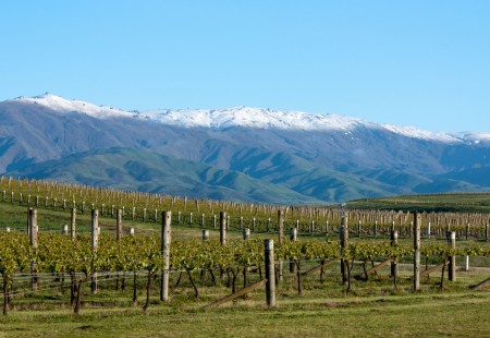 Central Otago