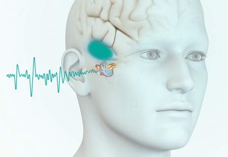 Tinnitus Retraining Therapy (TRT)
